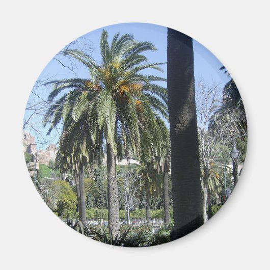 Palmen in Malaga Magneet (Voorkant)