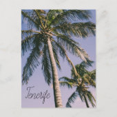 Palmen in Tenerife Briefkaart (Voorkant)