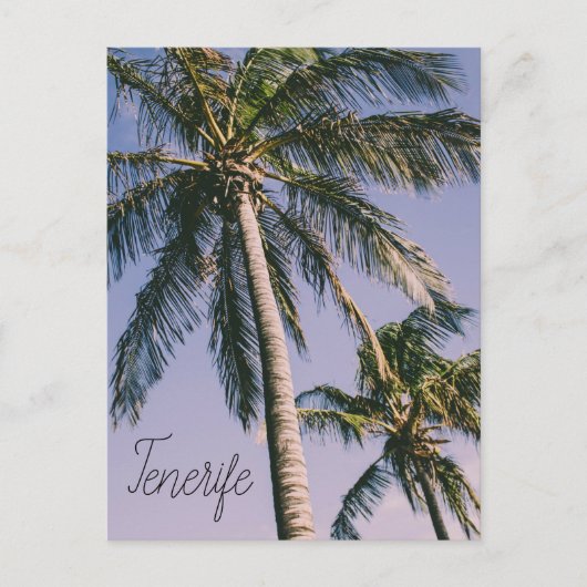 Palmen in Tenerife Briefkaart (Voorkant)