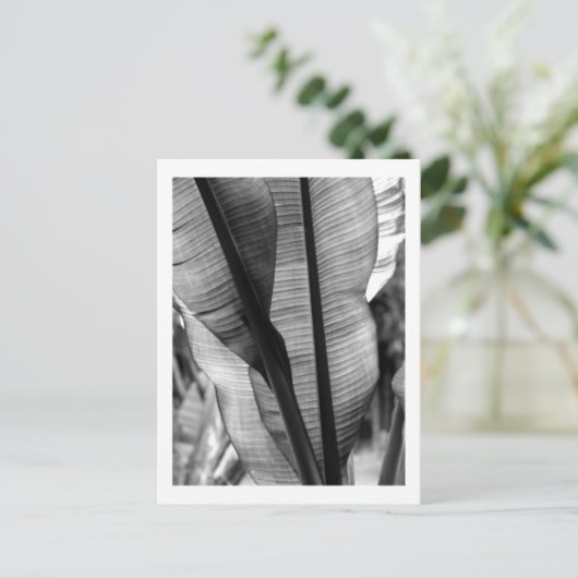Palmen in zwart-wit briefkaart (Staand voorkant)