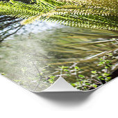 palmen met achtergrondverlichting foto afdruk (Hoek)