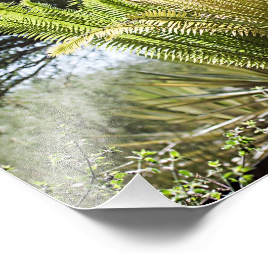 palmen met achtergrondverlichting foto afdruk (Hoek)