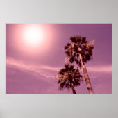 Palmen mit Sonne Poster (Voorkant)