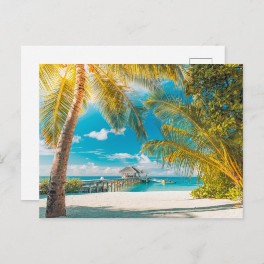 Palmen op de Zonsondergang Briefkaart (Voorkant / Achterkant)