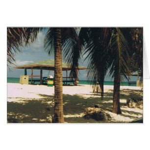 Palmen op Seven Mile Beach, Grand Cayman Island