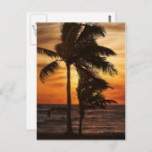 palmen van het paradijssilhouet briefkaart (Voorkant / Achterkant)