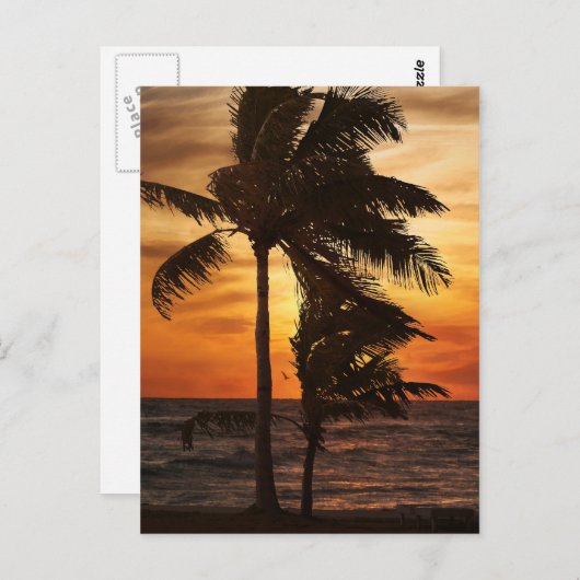 palmen van het paradijssilhouet briefkaart (Voorkant / Achterkant)