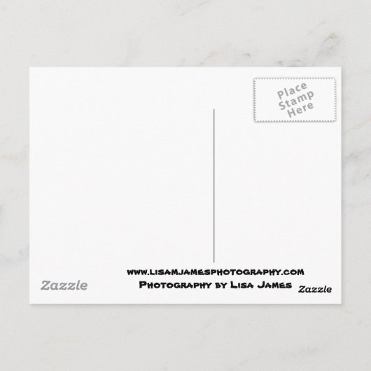 palmen van het paradijssilhouet briefkaart (Achterkant)