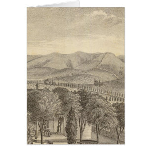 Palmer res, wijngaard