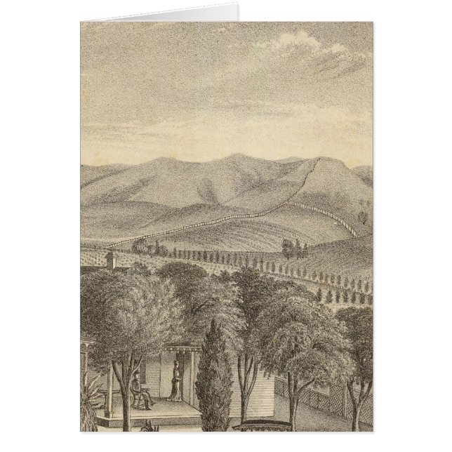 Palmer res, wijngaard (Voorkant)