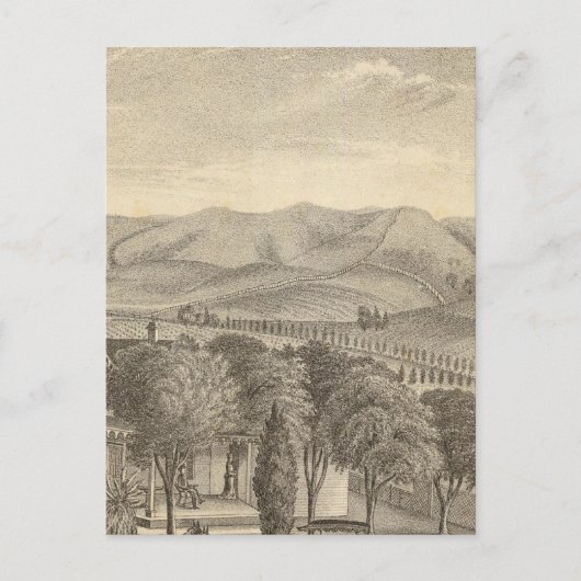 Palmer res, wijngaard briefkaart (Voorkant)