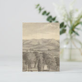 Palmer res, wijngaard briefkaart (Staand voorkant)