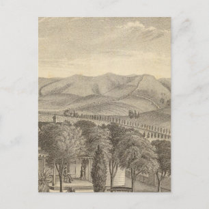 Palmer res, wijngaard briefkaart