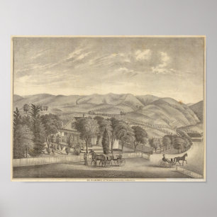 Palmer res, wijngaard poster