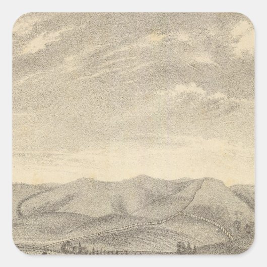 Palmer res, wijngaard vierkante sticker (Voorkant)