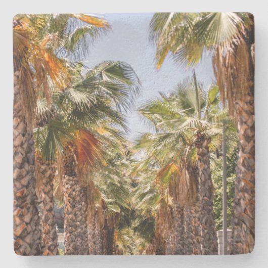 Palmeros/Palmbomen Stenen Onderzetter (Voorkant)