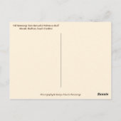 Palmetto Bluff Chapel Bluffton SC Herfst Scarecrow Briefkaart (Achterkant)