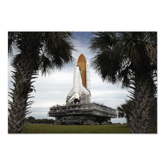 Palmetto-bomen lijst space shuttle Endeavor Foto Afdruk (Voorkant)