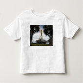 Palmetto-bomen lijst space shuttle Endeavor Kinder Shirts (Voorkant)