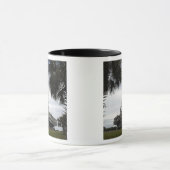 Palmetto-bomen lijst space shuttle Endeavor Mok (Midden)