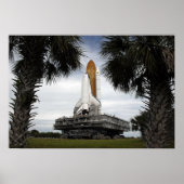 Palmetto-bomen lijst space shuttle Endeavor Poster (Voorkant)