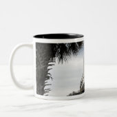 Palmetto-bomen lijst space shuttle Endeavor Tweekleurige Koffiemok (Links)