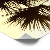 Palmetto-boom, zonnebrand, Florida Poster (Hoek)