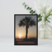 Palmetto in Dawn Briefkaart (Staand voorkant)