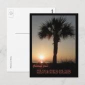 Palmetto in Dawn Briefkaart (Voorkant / Achterkant)