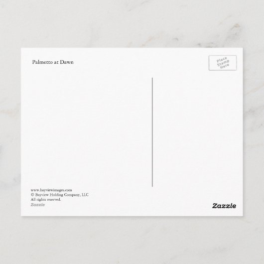 Palmetto in Dawn Briefkaart (Achterkant)