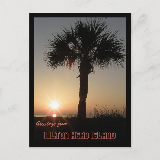 Palmetto in Dawn Briefkaart (Voorkant)