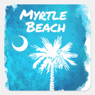 Palmetto Paint Splatter Vierkante Sticker
