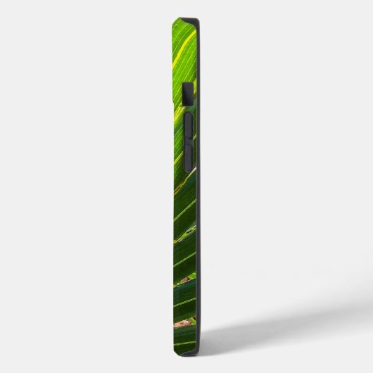 Palmetto Shadows op Palmetto iPhone Case (Achterkant / Links)