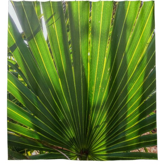 Palmetto Shadows op Palmetto Shower Curtain Douchegordijn (Voorkant)