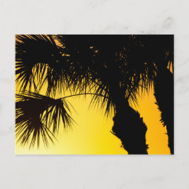 Palmetto Tree Sunrise, Port Saint Lucie, FL Briefkaart