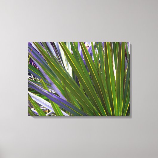 Palmetto Tropicale Canvas Afdruk (Voorkant)