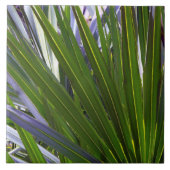 Palmetto Tropicale Tegeltje (Voorkant)