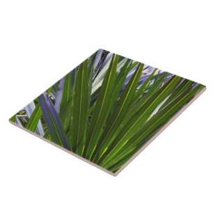 Palmetto Tropicale Tegeltje