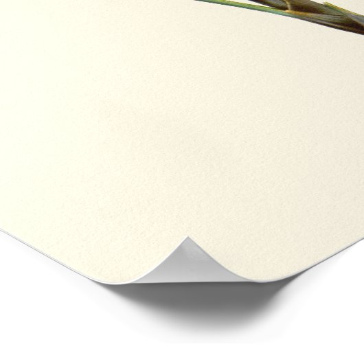 palmflessen poster (Hoek)