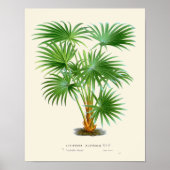  palmflessen poster (Voorkant)