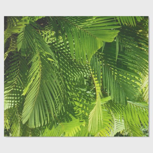 Palmfronten Cadeaupapier (Vlak)