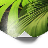Palmfronten in zonlicht, tropisch landschap foto afdruk (Hoek)
