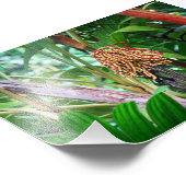 Palmfruit in Hawaï Foto Afdruk (Hoek)