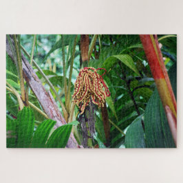 Palmfruit in Hawaï Legpuzzel