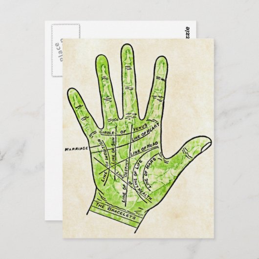 Palmgebak Briefkaart (Voorkant / Achterkant)