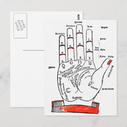 Palmgebak Briefkaart (Voorkant / Achterkant)