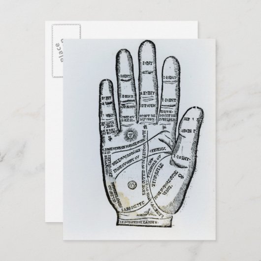 Palmie Briefkaart (Voorkant / Achterkant)