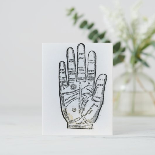 Palmie Briefkaart (Staand voorkant)