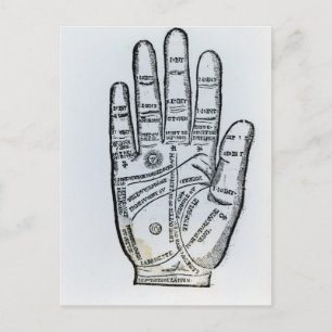 Palmie Briefkaart