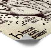 Palmie Poster (Hoek)